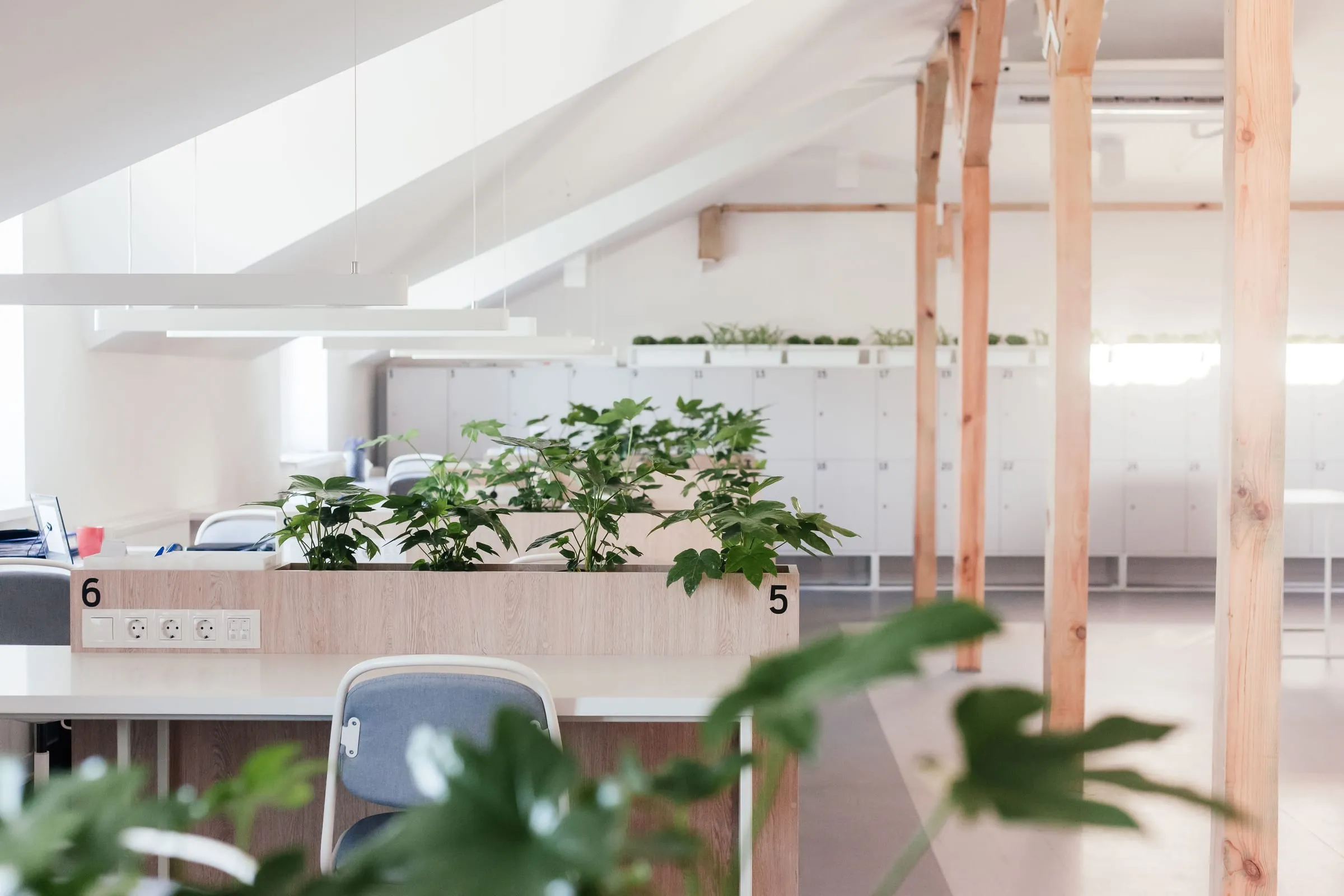A bright, calm office with plants and daylight